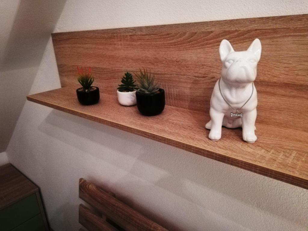 Galeria Stastie Leilighet Senec Eksteriør bilde